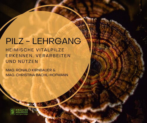 Pilz Lehrgang.jpg
