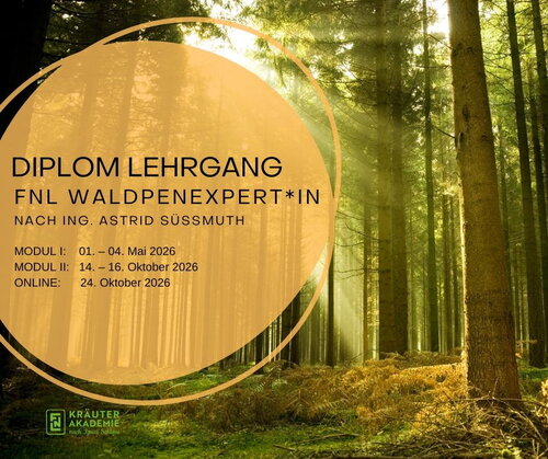 Wald Expertinnen Lehrgang.jpg