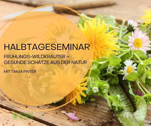 Wildkraeuter mit Tanja Pinter.jpg