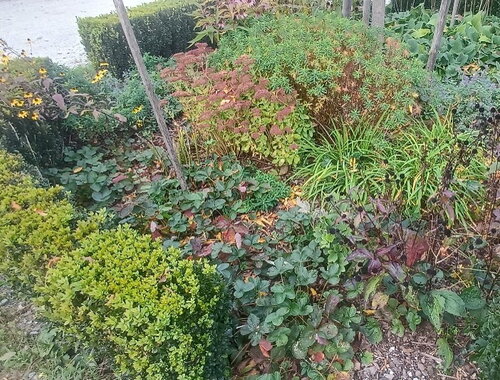 Unser Garten geht schlafen Bild.jpg