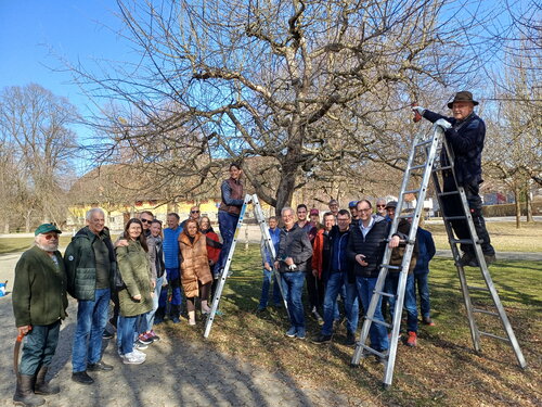 Obstbaumschnittkurs(c) Tekalec.jpg