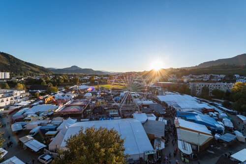 Gelaende Wiesenmarkt 2022.jpg