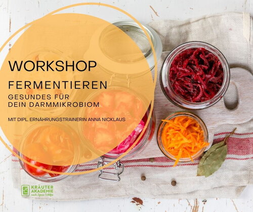 Fermentieren Juni.jpg