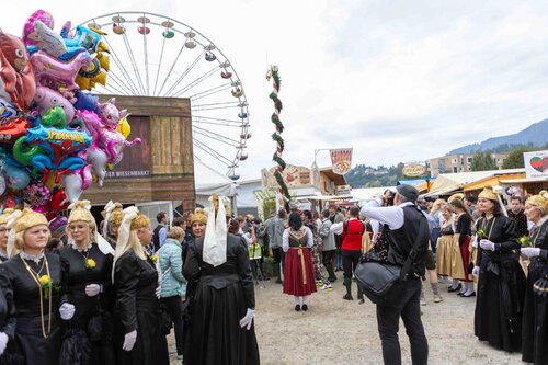 Wiesenmarktumzug_Web-242.jpg