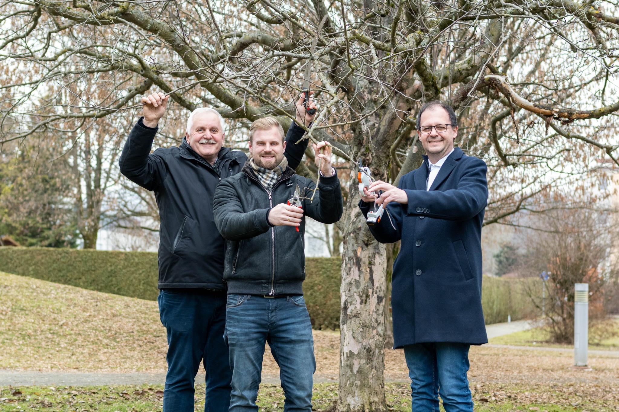 Baumschnitt Bild.jpg